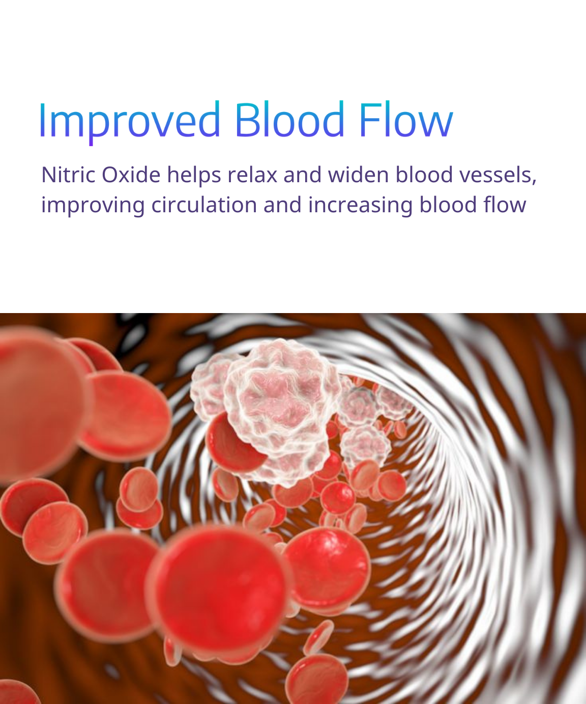 Blood